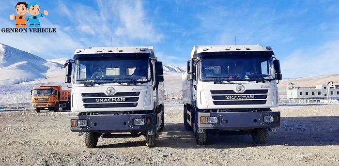 A Large Number Of SHACMAN Inventory Dump Truck Products For Sale